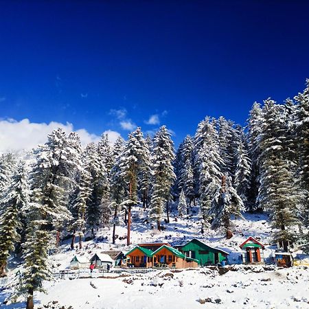 Singing Woods Kutla Hotel Kullu Bagian luar foto