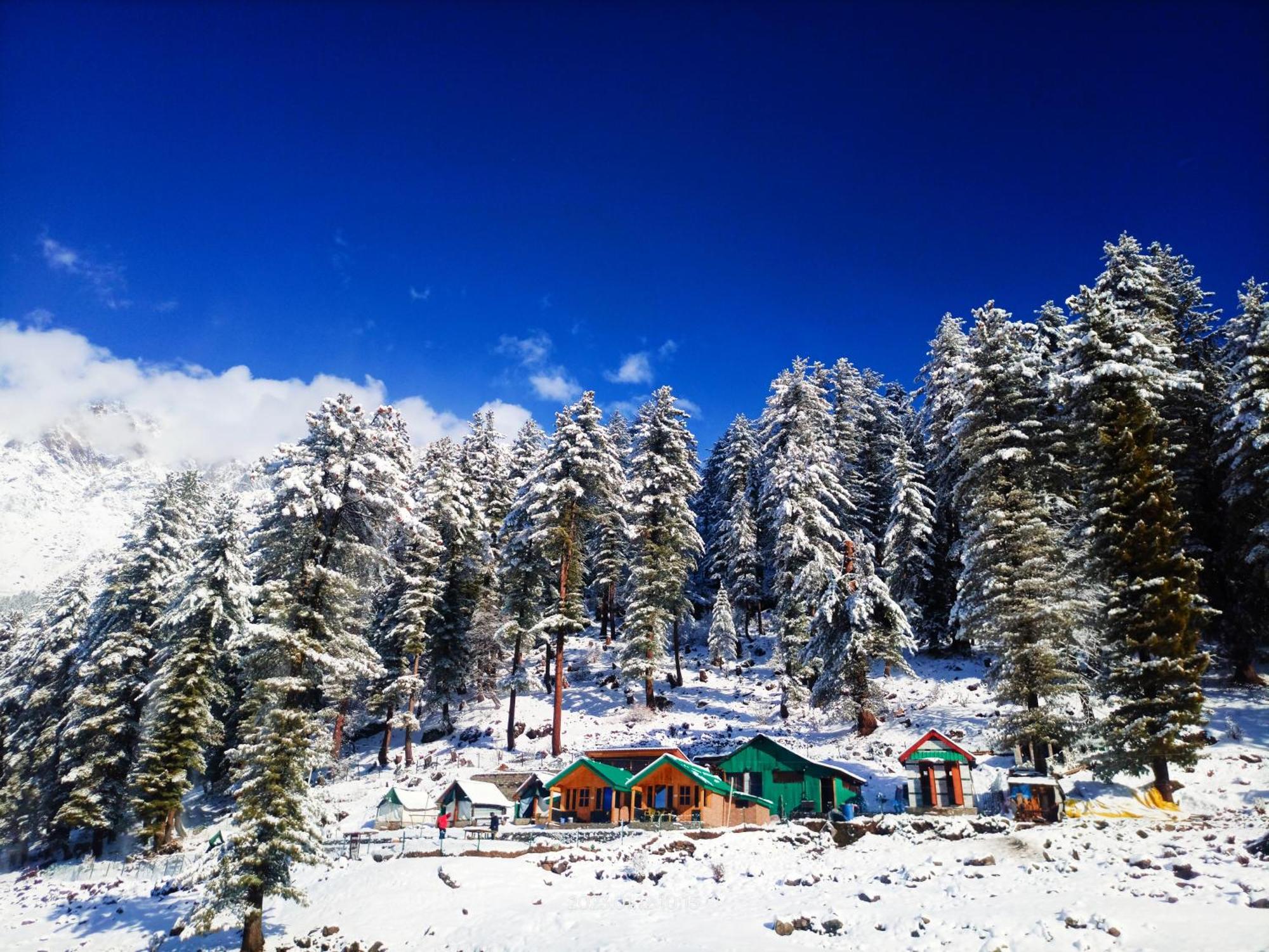 Singing Woods Kutla Hotel Kullu Bagian luar foto